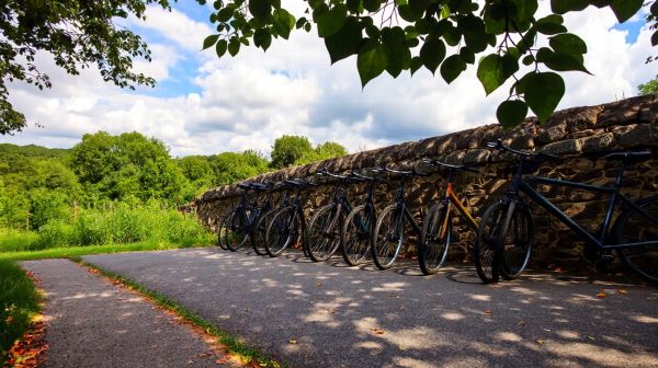 Les avantages de la location de vélos B2B pour l'écologie